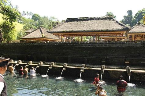 Sukasuka Bali Denpasar 2022 Qué Saber Antes De Ir Lo Más Comentado Por La Gente Tripadvisor