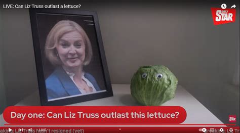 Can Liz Truss Outlast A Lettuce Uk Tabloid Asks In Twitter Post World News The Indian Express