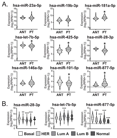 Ijms Free Full Text Mir 877 5p As A Potential Link Between Triple Negative Breast Cancer