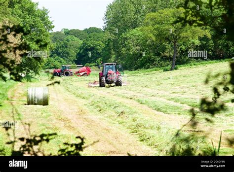 Harvesting Of Pasture Grass For Silage Stock Photo Alamy