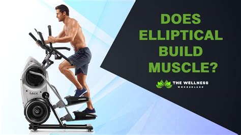 Does Elliptical Build Muscle Know How It Works