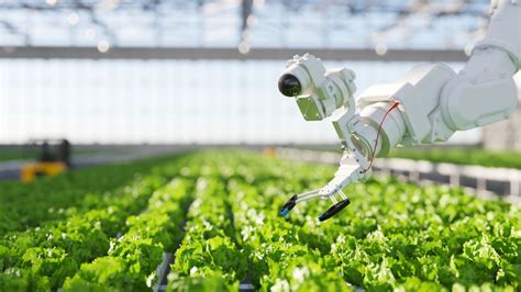 Inteligência Artificial oferece mais eficiência e agilidade ao