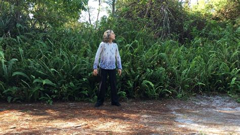 Turtle Chi Gung Amrita Saraswati — Spirit Energy Movement