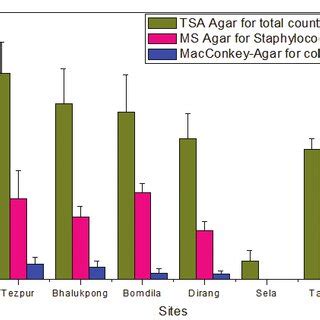 Bacterial Colony Diversity CFu In Different Agar Strips And Colony