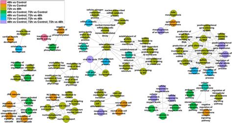 Enriched Gobp Gene Ontology Biological Processes For Genes Targeted Download Scientific