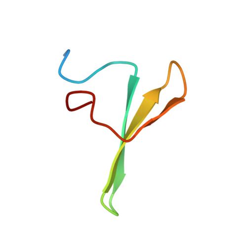 Rcsb Pdb Lax Structure Of First Ww Domain Of Human Yap In Complex