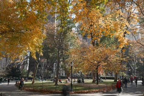 Welcome To Madison Square Park — Madison Square Park Conservancy