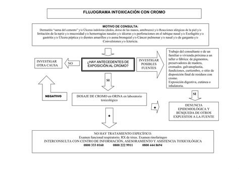 PDF FLUJOGRAMA INTOXICACIÓN CON CROMO Ministerio de DOSAJE DE