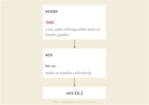 Gender Is Binary Sex Is A Verb Page 7 Forum For Us And Intl Politics