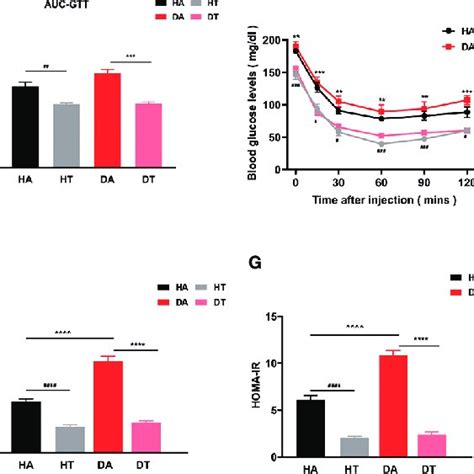 Trf Improves Glucose Intolerance And Reverses Insulin Resistance In