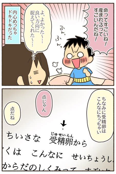 赤ちゃんってどうやってできるの？8歳に説明してみた③ ⚠️ 性教育に関す なおたろー漫画描いとるよ さんのマンガ ツイコミ仮