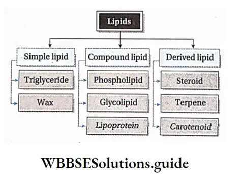 Lipids Definition Structure Classification Types Wbbse Solutions