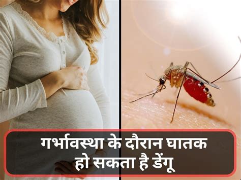 Dengue Can Be Fatal During Pregnancy Know Its Symptoms Complications Prevention Tips In Hindi