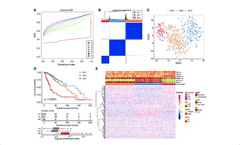 Identification Of Hypoxia Related Subtypes In The Tcga Lgg Cohort