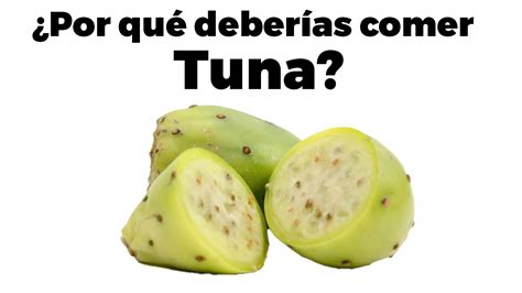 Beneficios De La Tuna Verde Descubre Sus Propiedades Y Beneficios Para