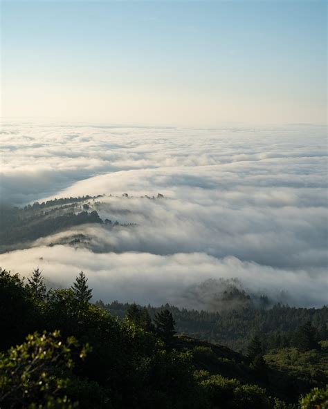 Morning Fog From Mt Tam R Bayarea