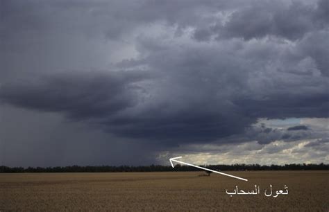 السحاب المسخّر بين السماء والأرض أنواع وأسبـاب بالصور