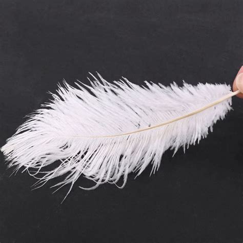 Pieces White Natural Ostrich Feather Cm Wedding Diy Lazada Ph