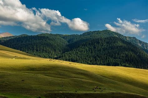 Premium Photo | Kazakhstan's essential national landscape and nature