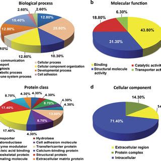 Pie Chart Depicting The Functional Classification Of Differentially