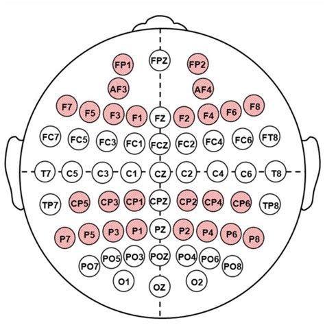 Figure Location Of The Electrodes Of Eeg Recording Shaded Red Circles