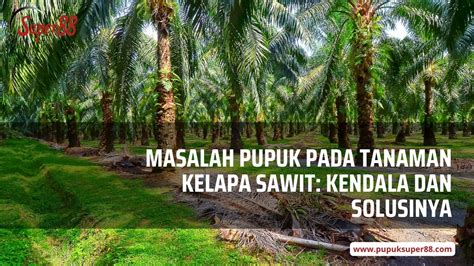 Masalah Pupuk Kelapa Sawit Kendala Dan Solusinya Pupuk Super88