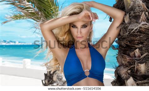 Sexy Woman Bikini On Suntanned Slim Stock Photo 511614106 Shutterstock