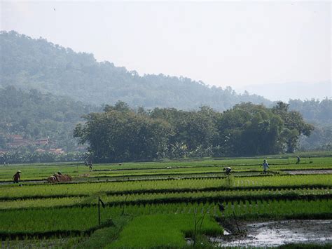 Lontar Babad Sruni Jangkep