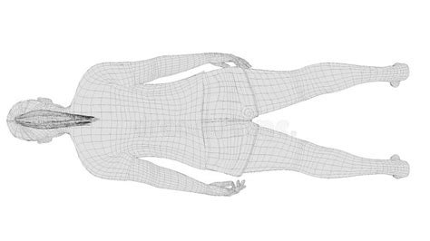 3d Wireframe Woman Morphing From Fat To Lean Stock Video Video Of