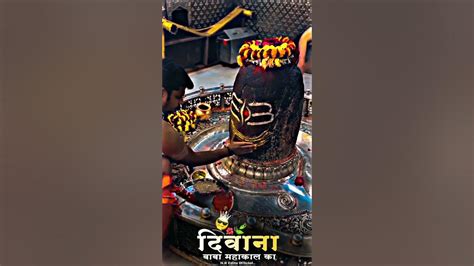 New Mahakal Status Deewana Hu Mahakal Ka Ujjain Ke Sarkar Ka Shortvide Mahakaleshwar Like