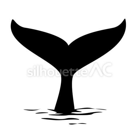 Whale 147024 - Free Download - silhouetteAC