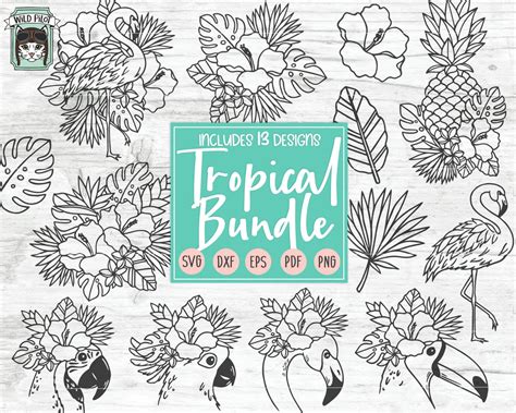 Tropical Bundle Svg Cut File Tropical Flowers Svg Hibiscus Svg