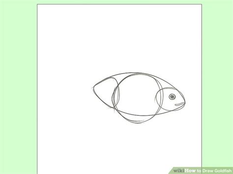 How To Draw Goldfish 9 Steps With Pictures WikiHow