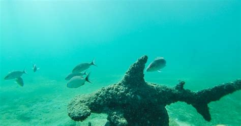 Snorkel at Blue Heron Bridge, Phil Foster Park