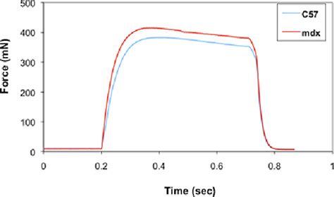 Isometric Tetanic Force In Wildtype And Mdx Edl Muscles From 12 Week