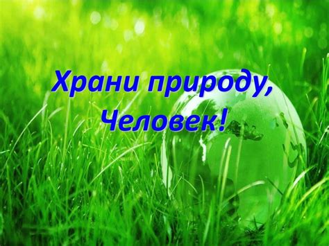 Храни природу, человек! Наверное, нет на Земле такого человека, который ...