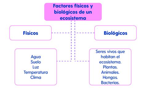 Página 160 RESPUESTAS Primaria Tercer grado