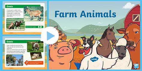 Farm Animals Information PowerPoint with Sound