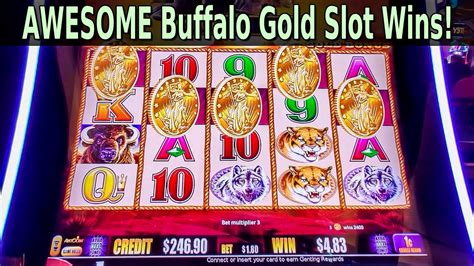 BUFFALO GOLD SLOTS AWESOME WIN COMPILATION YouTube