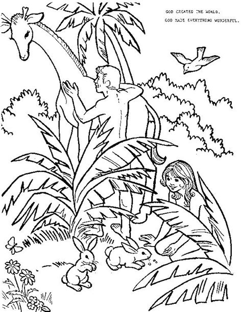 Garden Of Eden Coloring Pages At Free Printable Colorings Pages To Print And