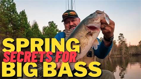 Now Is The Time To Throw This Bait Secrets To Catch Big Spring Bass Youtube