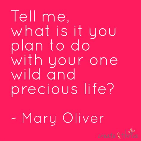 {motibright} What Do You Plan To Do With Your One Wild And Precious