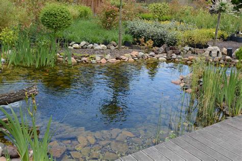 Bassin De Jardin Naturel Creer Une Mare Naturelle Dans Son Jardin Hot