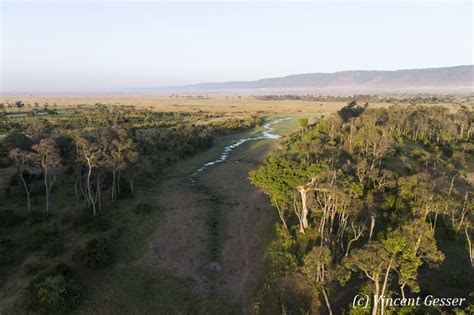 Aerial View Of Kenya Masai Mara National Reserve Dx Gesser