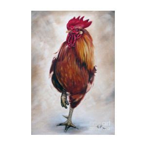 Rooster Of By Ilse Kleyn Rooster Art Canvas Art Art Prints