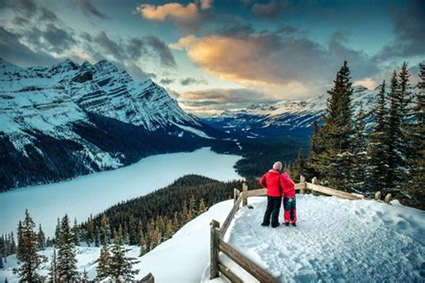 Exciting winter activities to do in Calgary | Premiere Suites