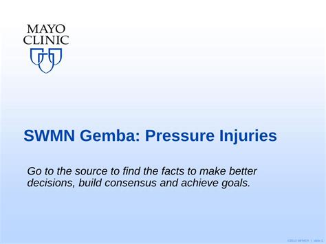 PDF SWMN Gemba Pressure Injuries MHA 2013 MFMER Slide 1 SWMN