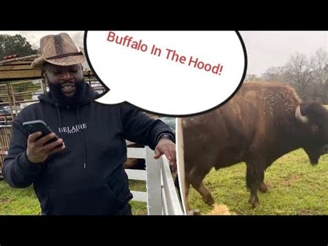 Rick Ross Buffalo Problem YouTube