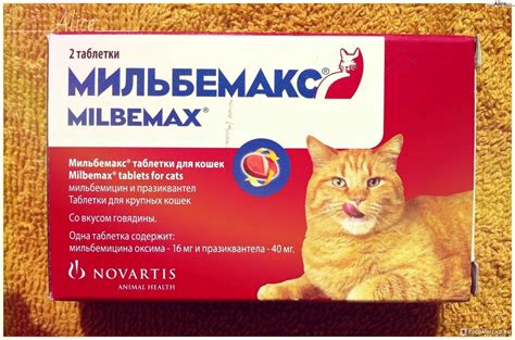 Мильбемакс для кошек - как правильно давать