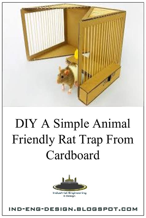 Diy A Simple Animal Friendly Rat Trap From Cardboard Ind Eng Design